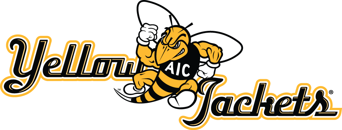 aic yellow jackets 2009-pres alternate logo v3 iron on transfers for clothing